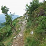 Precipice Walk