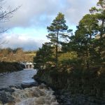 Low Force 1 Low Force 1