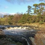 Low Force 2 Low Force 2