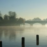 Serpentine