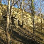 Raintonwood cliffs