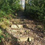 Raintonwood steps