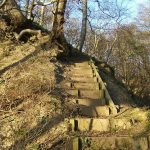 Raintonwood steps2