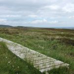 SimonsideBoardwalk