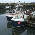 Fife Pittenweemharbour