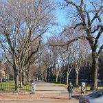 BostonCommAve
