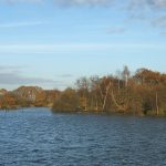 BrassidePond 1