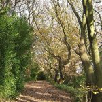 FranklandLane2 1