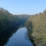 WalkinRiverMist