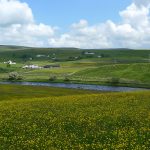 HighForceValley