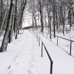 FreezeCardiacHill