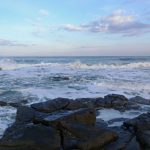 TynemouthSea