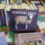 DentBeautifulSheep