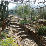 BotanicalCacti