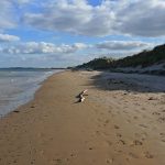 Dungeness