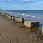 DungenessDragonsTeeth
