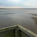 LindisfarneRefugeView