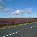 MoorsRoad2