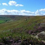 MoorsValleyHead