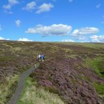 RosedaleRailwayPath
