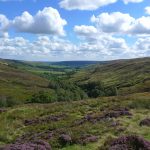 RosedaleValleyView