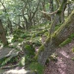 RiverPath