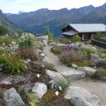 AlpineGarden