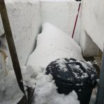 SnowBack