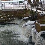 SnowCodBeck