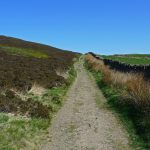 SkiptonTrack