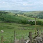 YorkshireWalls
