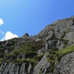 LangdaleJacksRake2