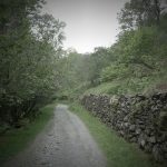 LangdalePathVignette