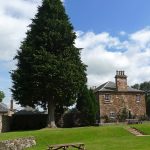 MelroseAbbeyGrounds