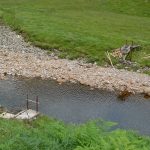GlencoeSheepTransporter