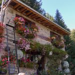 ChamonixFloria2