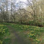 Daffs2 Daffs2