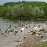 HerringtonPark