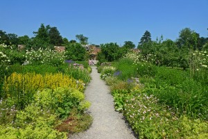 Berrington Hall gardens