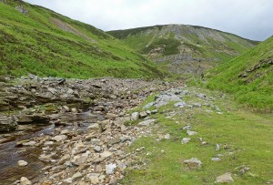 Gunnerside valley head