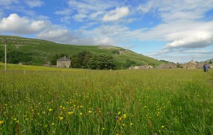 Muker pasture