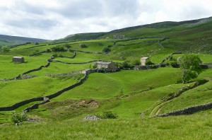 Gunnerside view