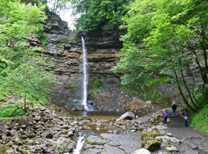 Hardraw force