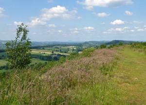 Wenlock Edge