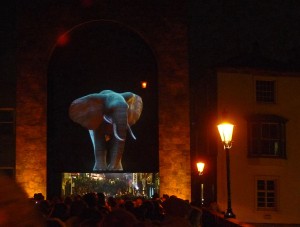 Lumiere13Elephant