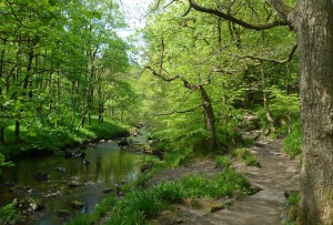 Riverside Walk, Hardcastle Crags