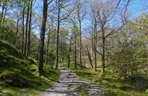 Borrowdale path