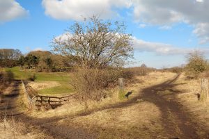 Railways paths towards Pittington