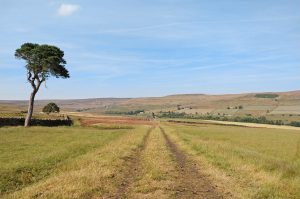 Rookhope Burn valley view
